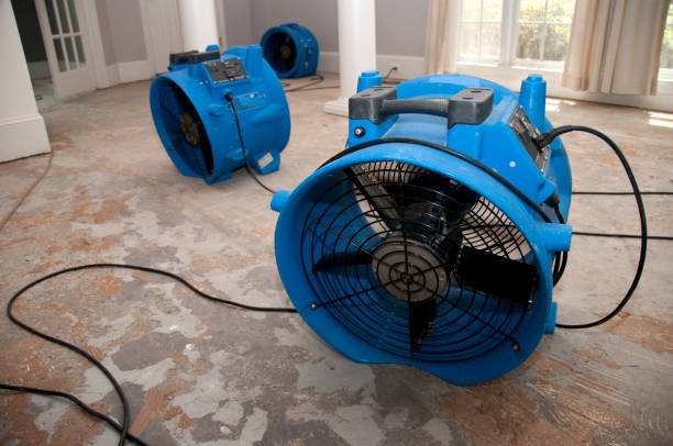 Best Water damage cleanup near me  in Plains, KS