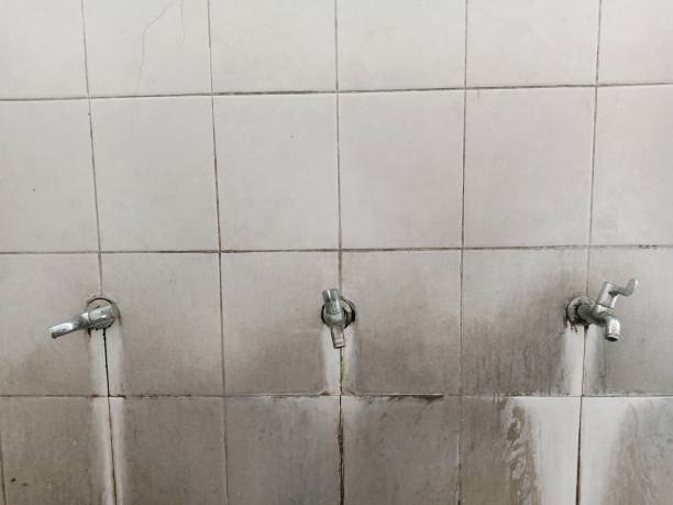 Best Basement water damage restoration  in Plains, KS
